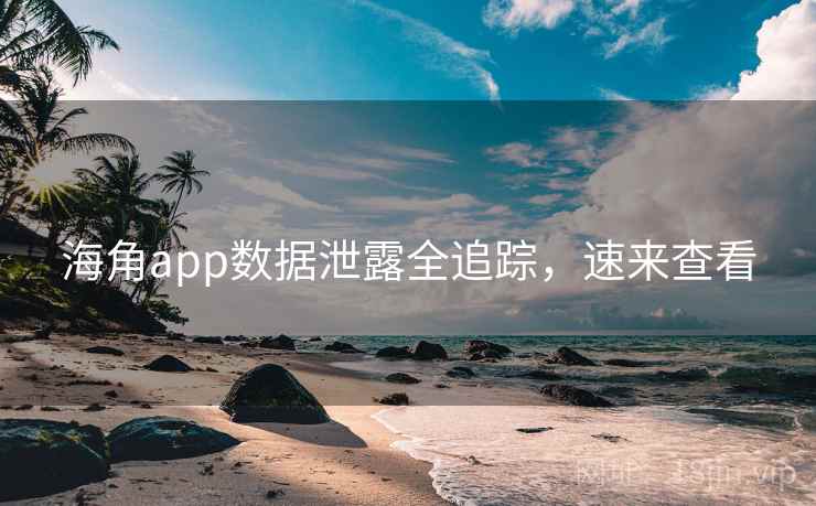 海角app数据泄露全追踪，速来查看