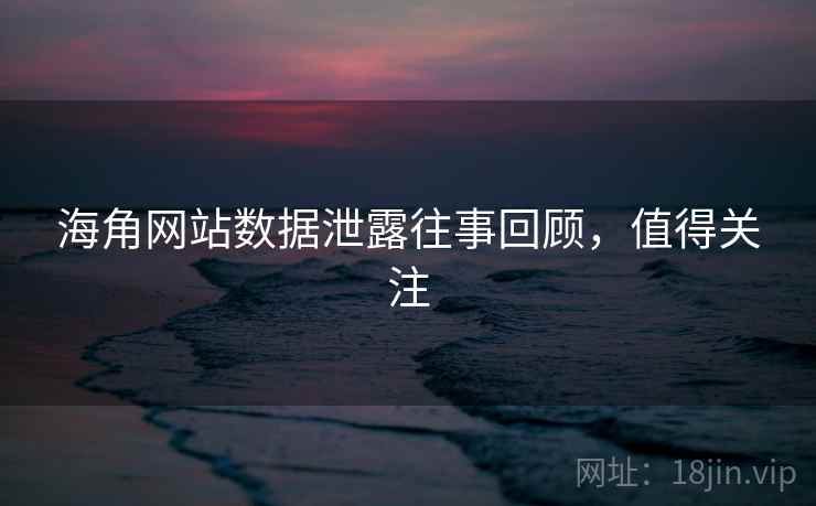 海角网站数据泄露往事回顾，值得关注