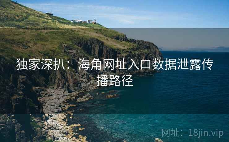 独家深扒:海角网址入口数据泄露传播路径